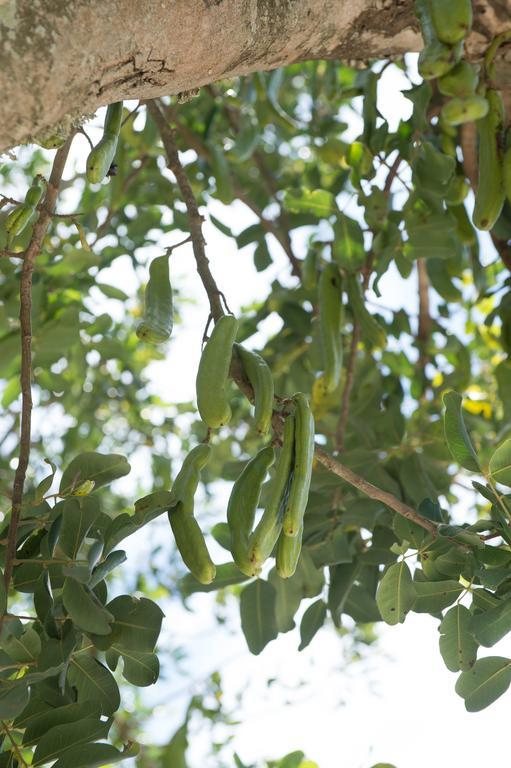Lu Panaru Farm stay Lecce