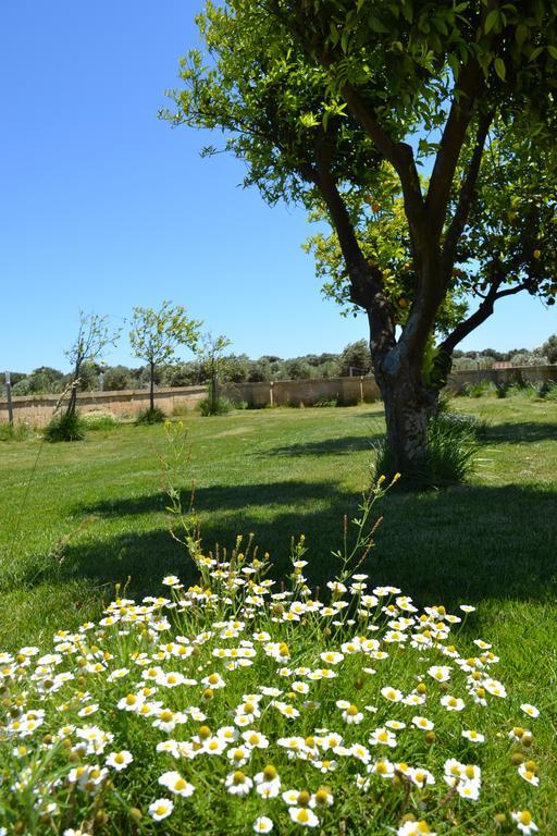 Lu Panaru Farm stay